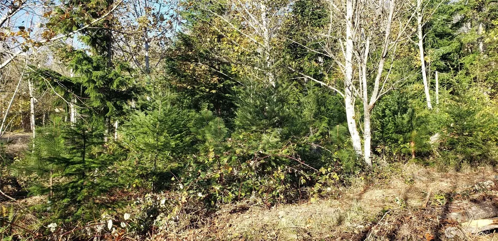 365 Cumberland Ridge Road SE Enumclaw WA 98022