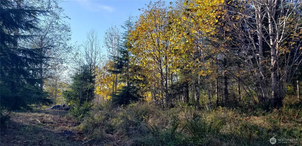 365 Cumberland Ridge Road SE Enumclaw WA 98022