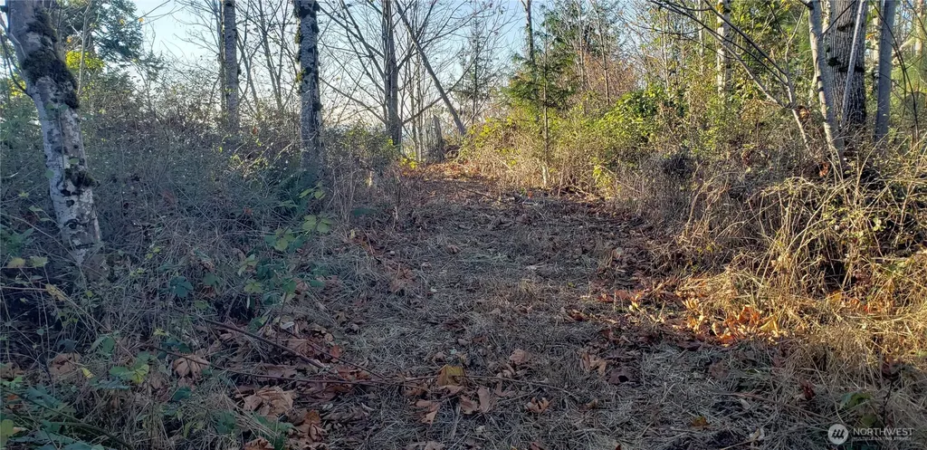 365 Cumberland Ridge Road SE Enumclaw WA 98022
