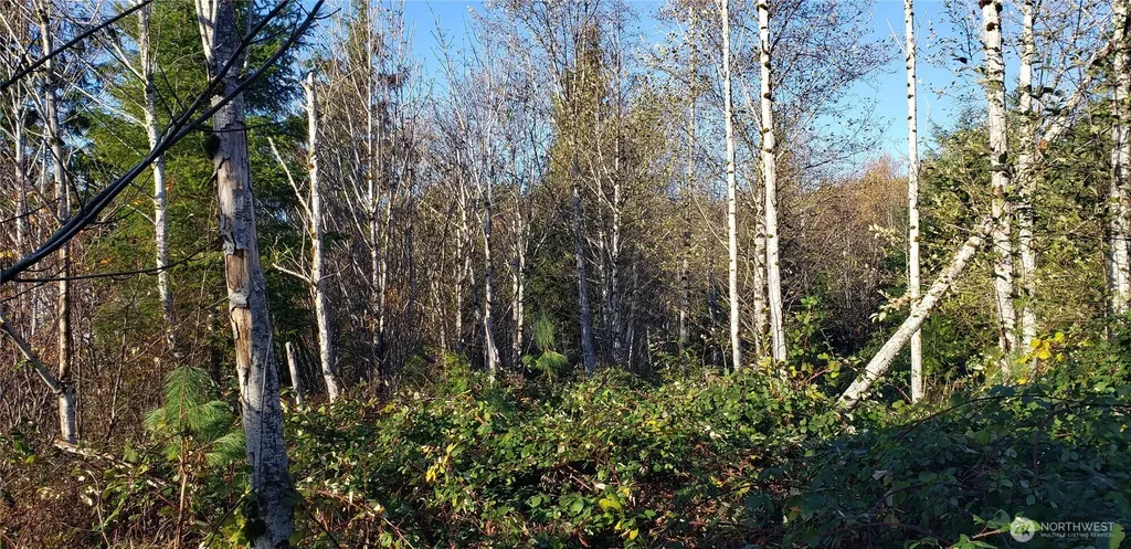 365 Cumberland Ridge Road SE Enumclaw WA 98022