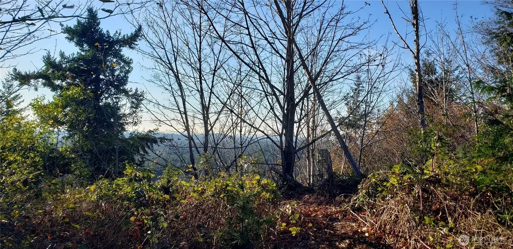 365 Cumberland Ridge Road SE Enumclaw WA 98022
