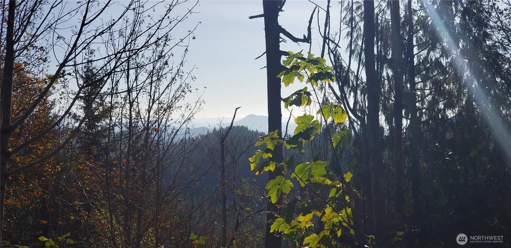 365 Cumberland Ridge Road SE Enumclaw WA 98022
