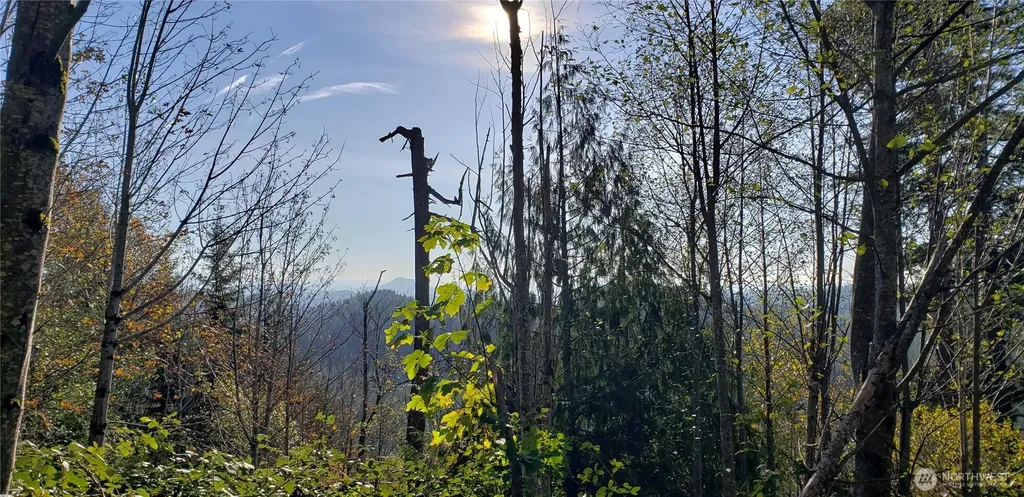365 Cumberland Ridge Road SE Enumclaw WA 98022