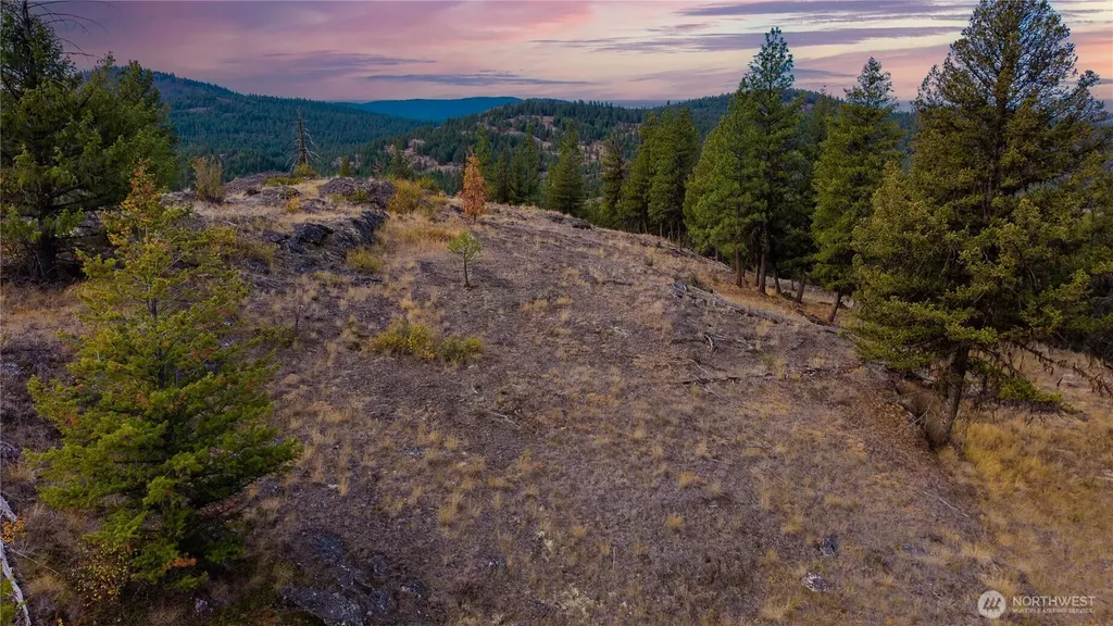 0 Eaglestone Road Tonasket WA 98855