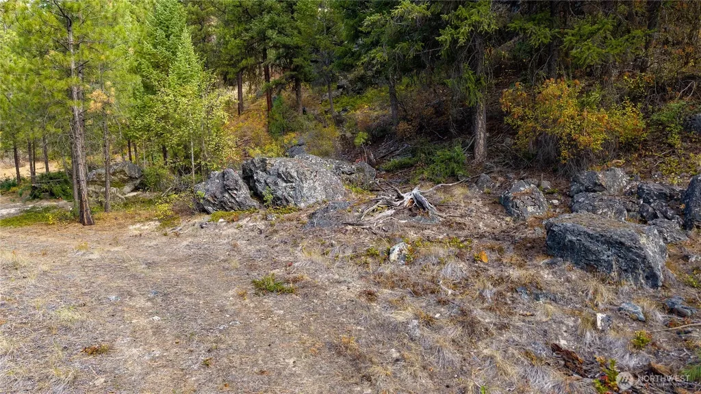 0 Eaglestone Road Tonasket WA 98855