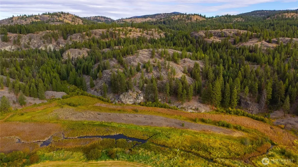 0 Eaglestone Road Tonasket WA 98855