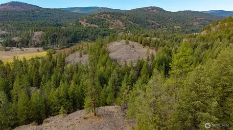 0 Eaglestone Road Tonasket WA 98855