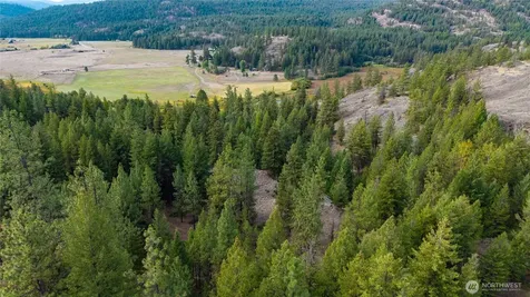 0 Eaglestone Road Tonasket WA 98855