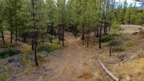 0 Eaglestone Road Tonasket WA 98855