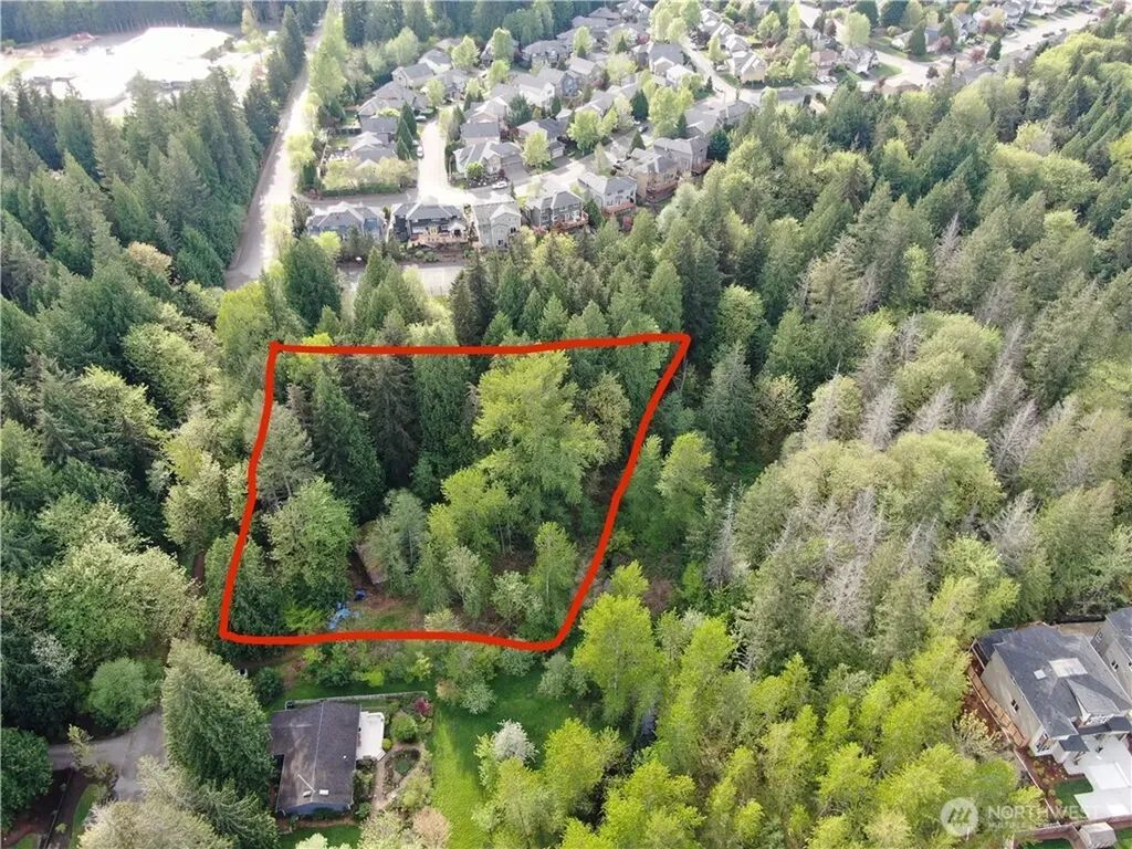 24108 NE 22ndstreet Sammamish WA 98074