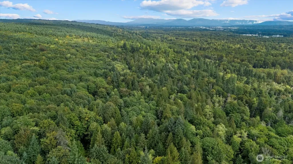 1 000 Tulalip WA 98271