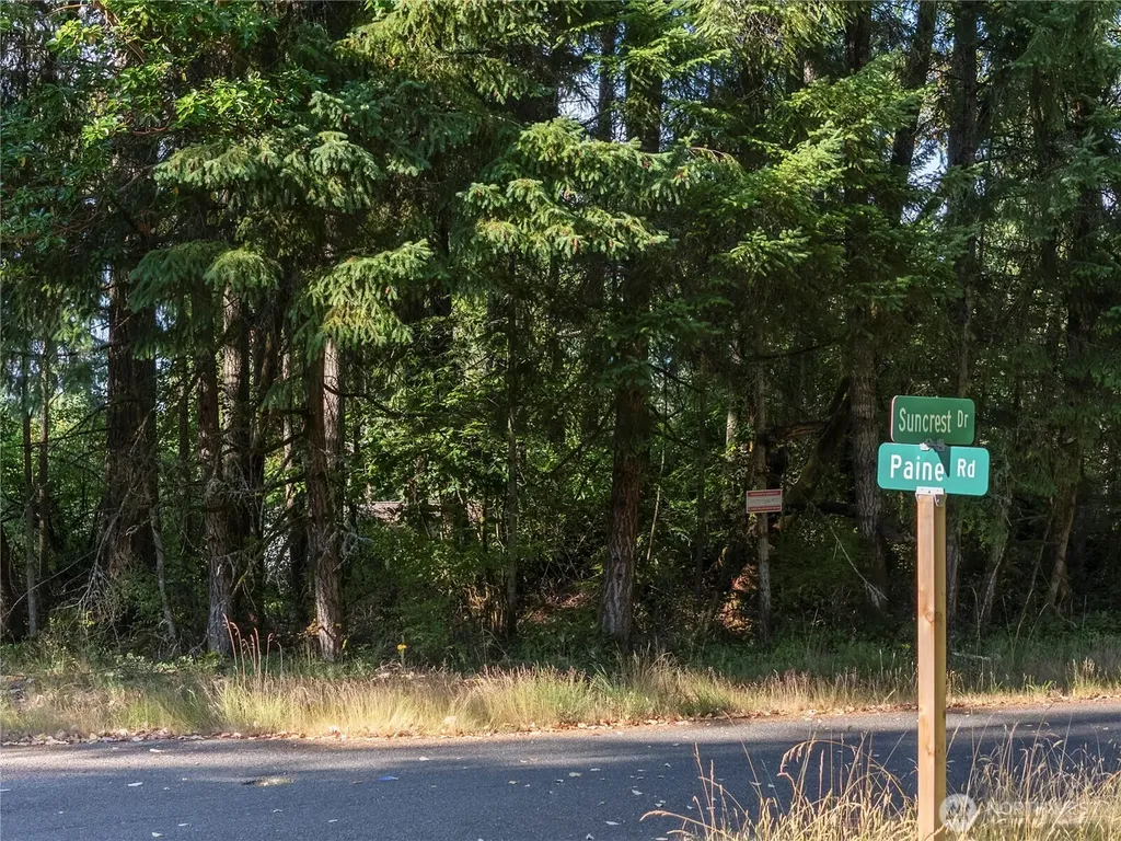 10519 Suncrest Drive Anderson Island WA 98303