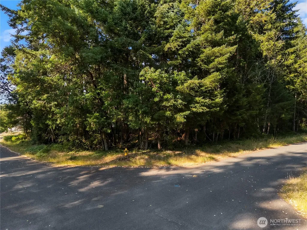 10519 Suncrest Drive Anderson Island WA 98303
