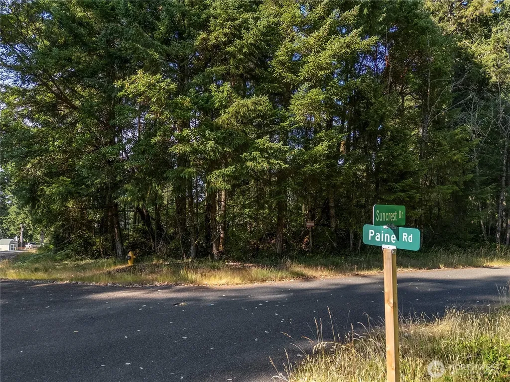 10519 Suncrest Drive Anderson Island WA 98303