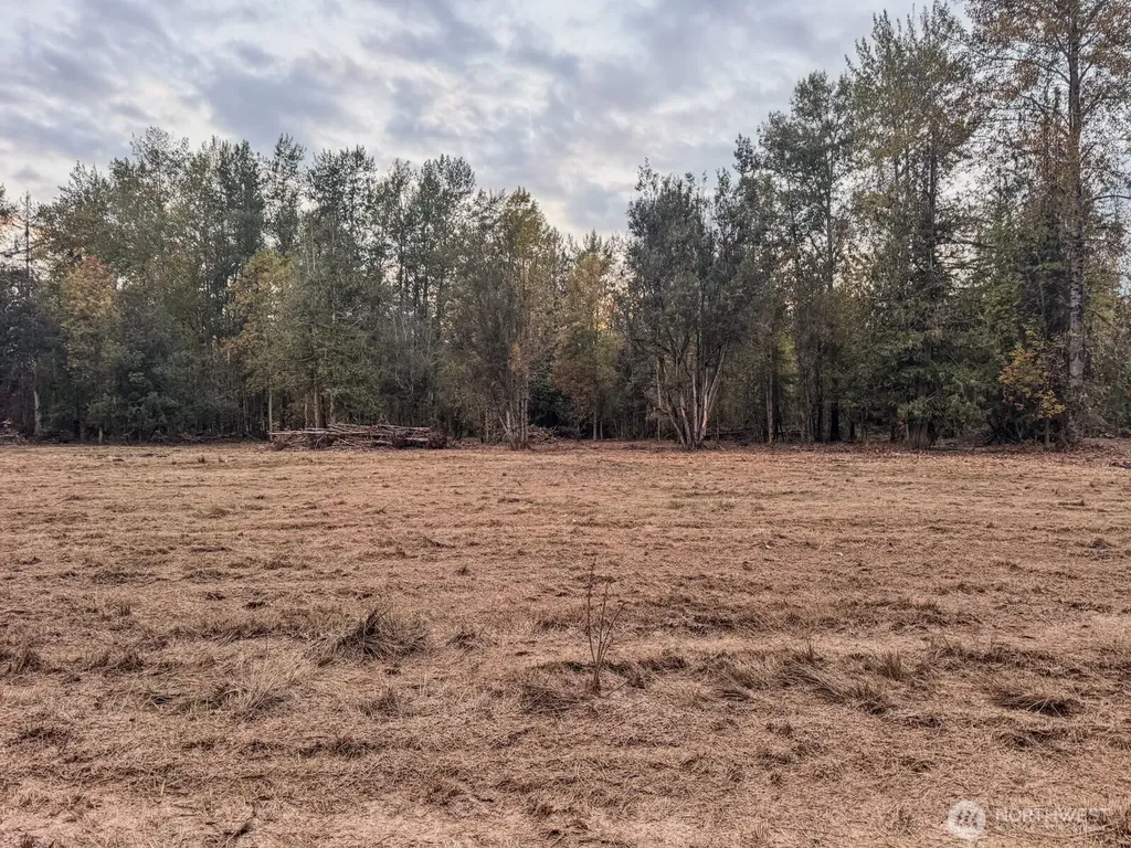 0 Mundy Loss Road E Buckley WA 98321