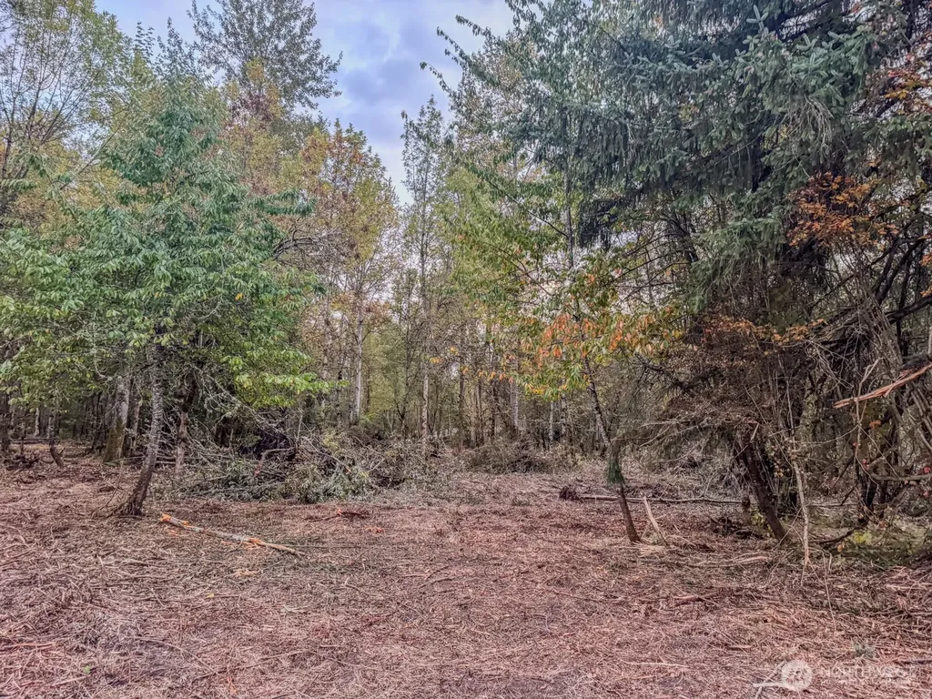 0 Mundy Loss Road E Buckley WA 98321