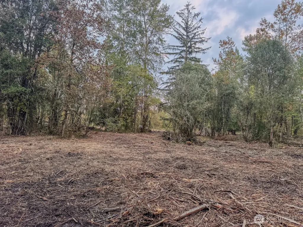 0 Mundy Loss Road E Buckley WA 98321