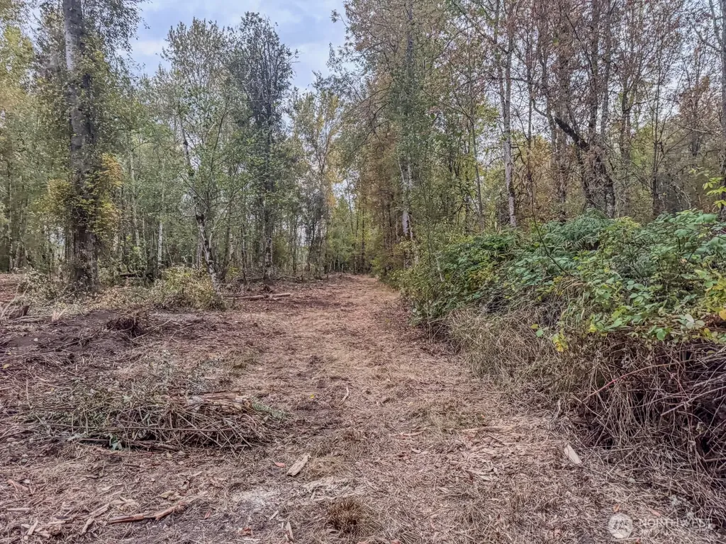 0 Mundy Loss Road E Buckley WA 98321
