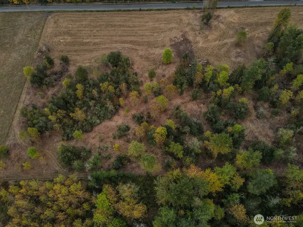 0 Mundy Loss Road E Buckley WA 98321