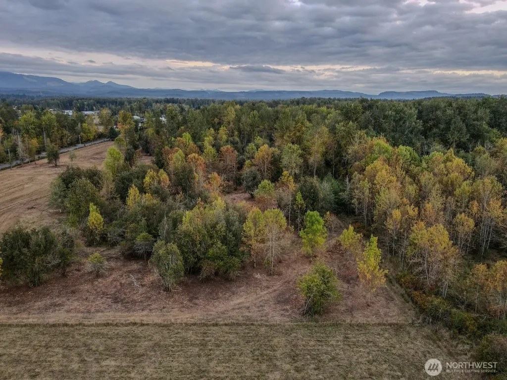 0 Mundy Loss Road E Buckley WA 98321