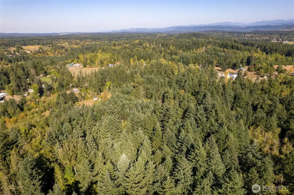 36716 Eatonville Cutoff Road E Eatonville WA 98328
