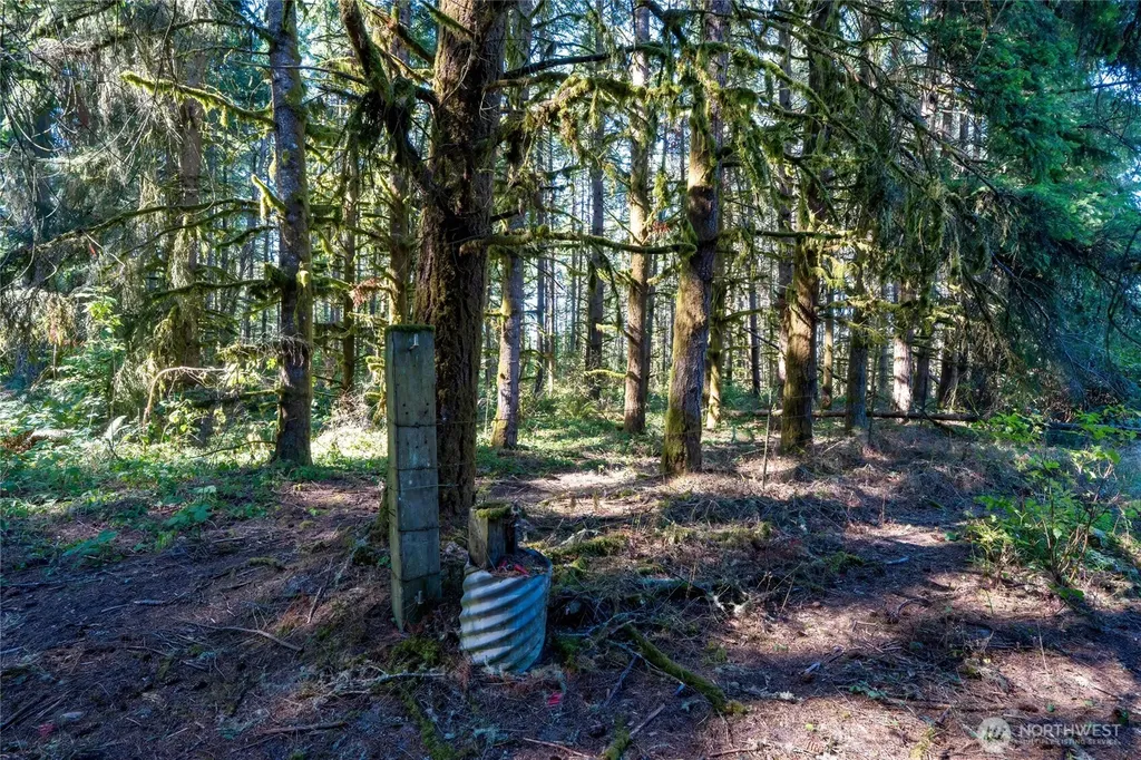 36716 Eatonville Cutoff Road E Eatonville WA 98328