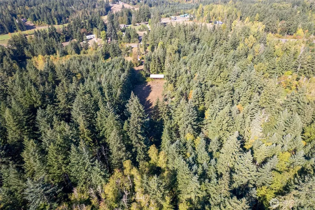 36716 Eatonville Cutoff Road E Eatonville WA 98328