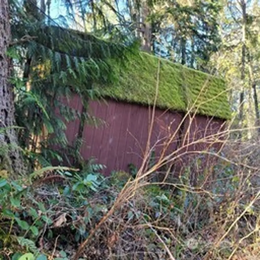190 SE 66th Street Issaquah WA 98027