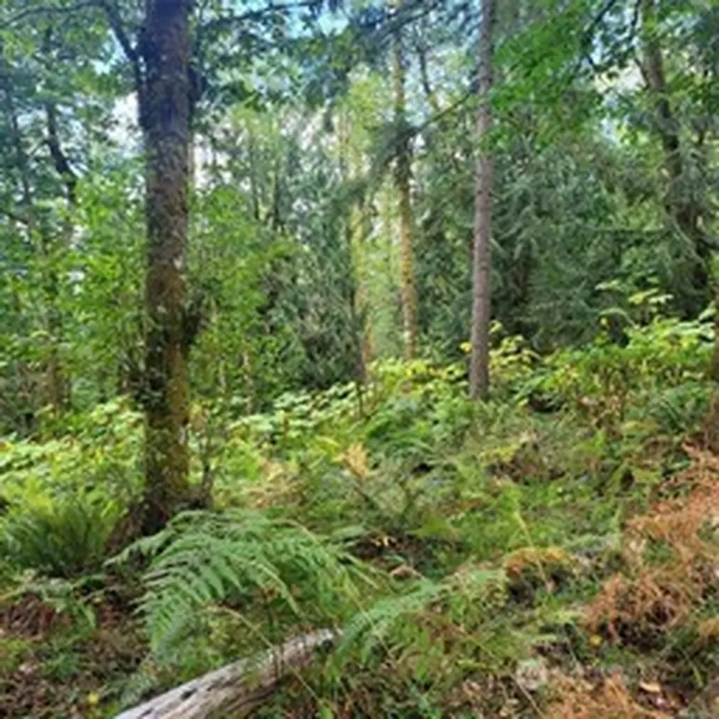 190 SE 66th Street Issaquah WA 98027