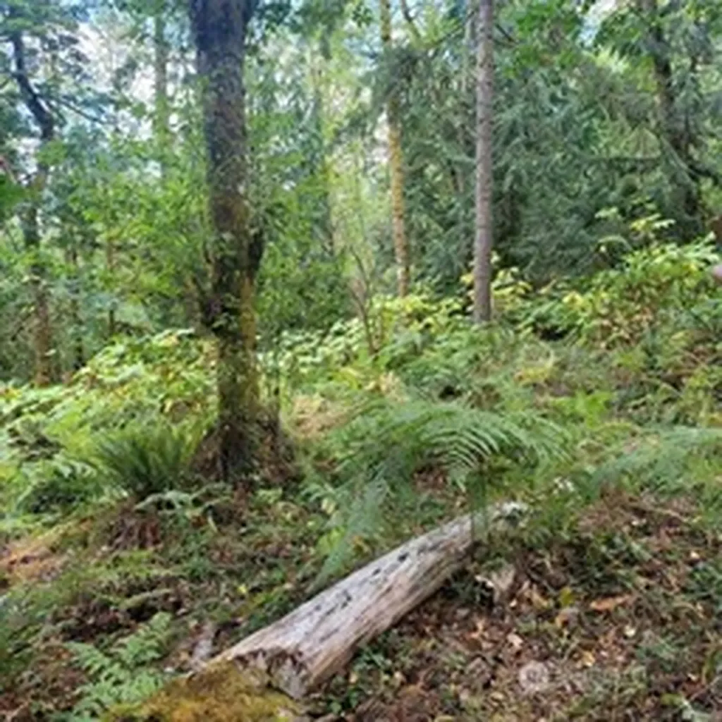 190 SE 66th Street Issaquah WA 98027