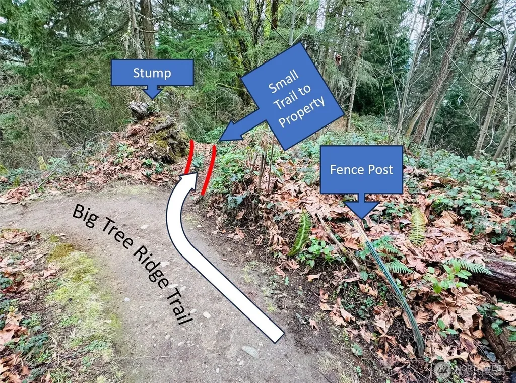 190 SE 66th Street Issaquah WA 98027