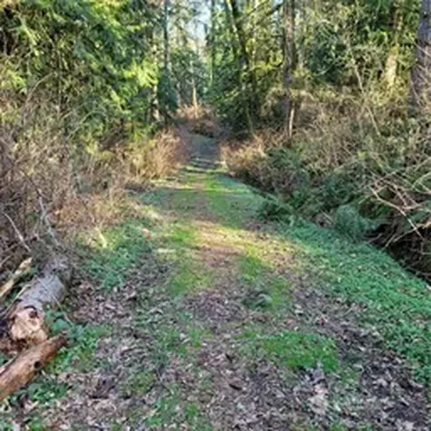 190 SE 66th Street Issaquah WA 98027