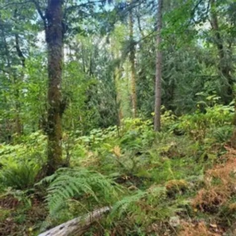 190 SE 66th Street Issaquah WA 98027