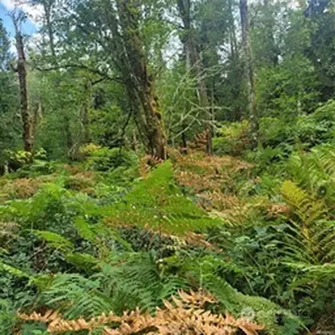 190 SE 66th Street Issaquah WA 98027