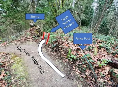 190 SE 66th Street Issaquah WA 98027