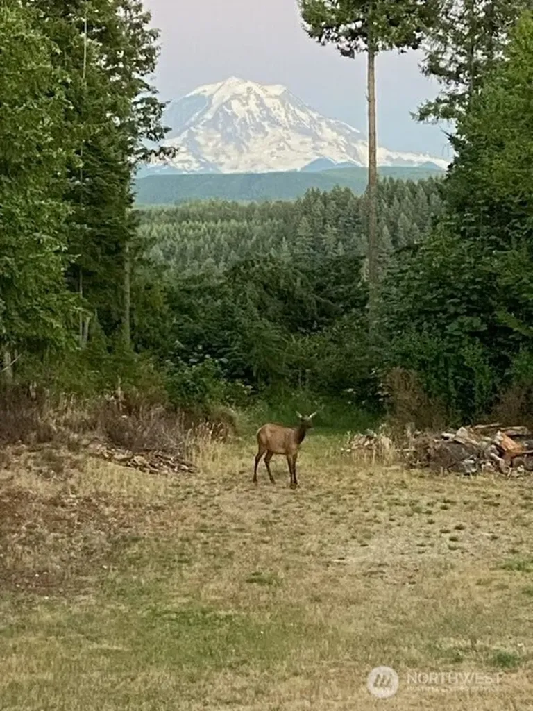 17012 226th Street Ct E Orting WA 98360
