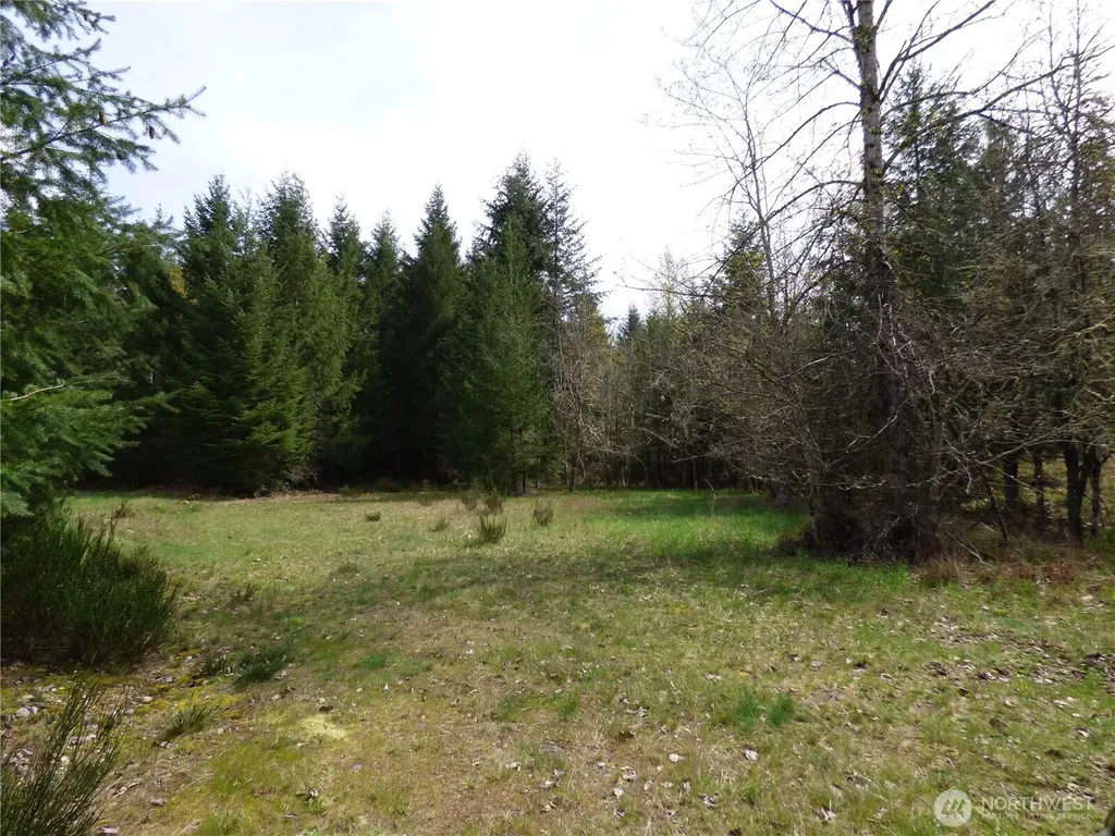 17012 226th Street Ct E Orting WA 98360