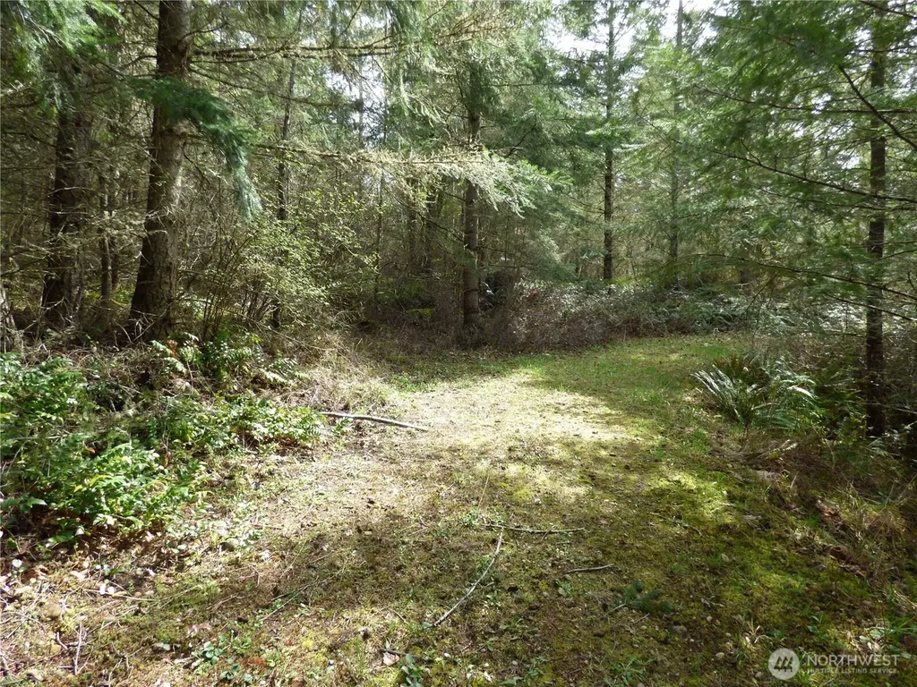 17012 226th Street Ct E Orting WA 98360