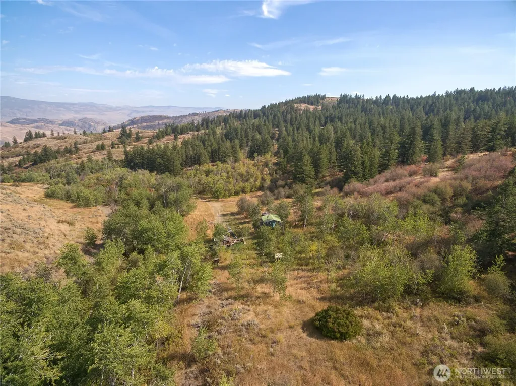 653 Ellemeham Mtn. Road Oroville WA 98844