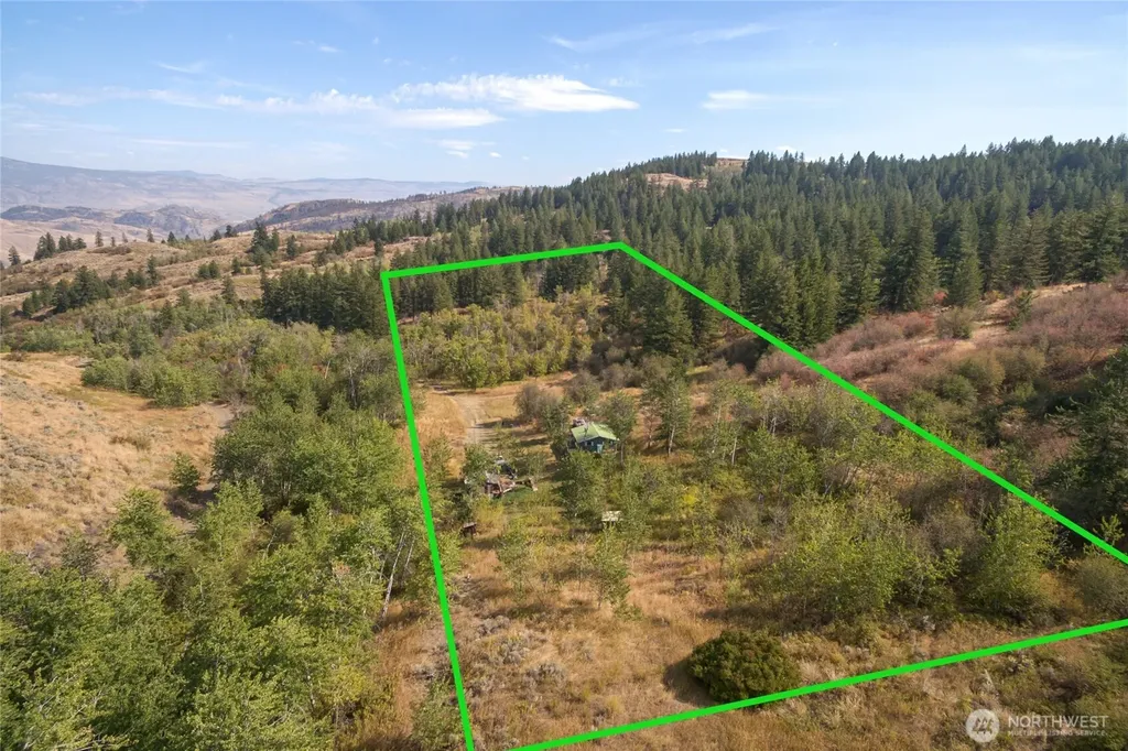 653 Ellemeham Mtn. Road Oroville WA 98844