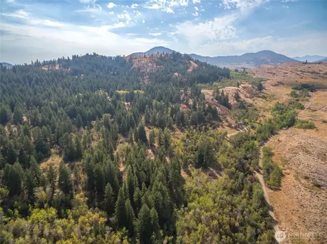 653 Ellemeham Mtn. Road Oroville WA 98844