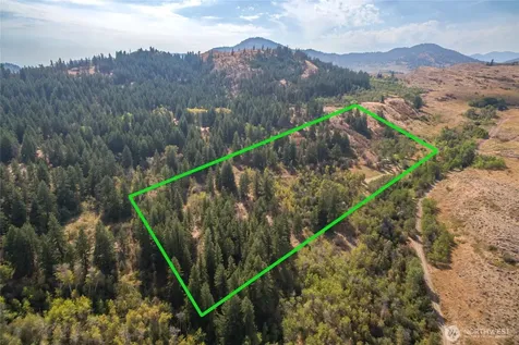 653 Ellemeham Mtn. Road Oroville WA 98844