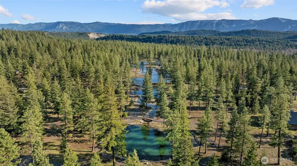 17 Wanawish Loop Cle Elum WA 98922