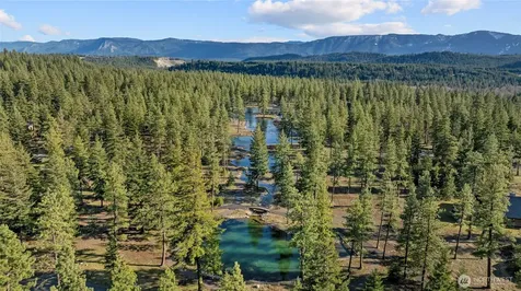 17 Wanawish Loop Cle Elum WA 98922