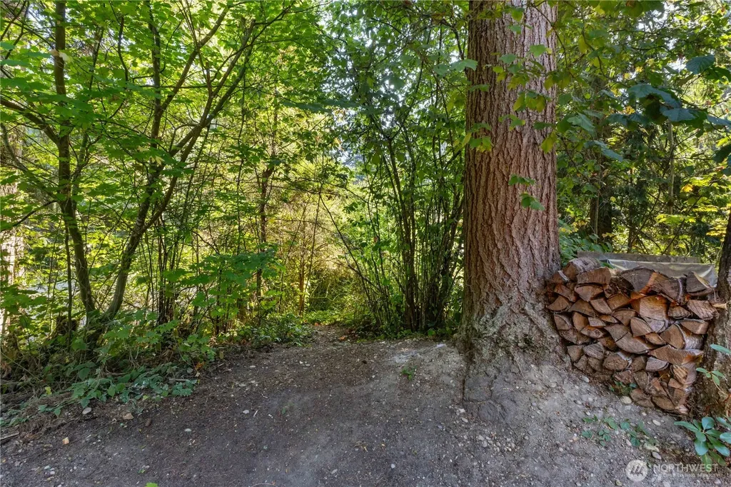 17738 N Beachside Drive SE Yelm WA 98597