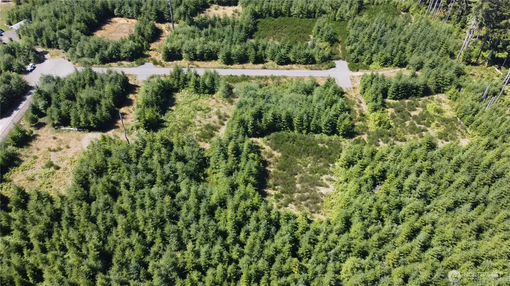 9999 King Johns- Lot 3 Crow Way Forks WA 98331