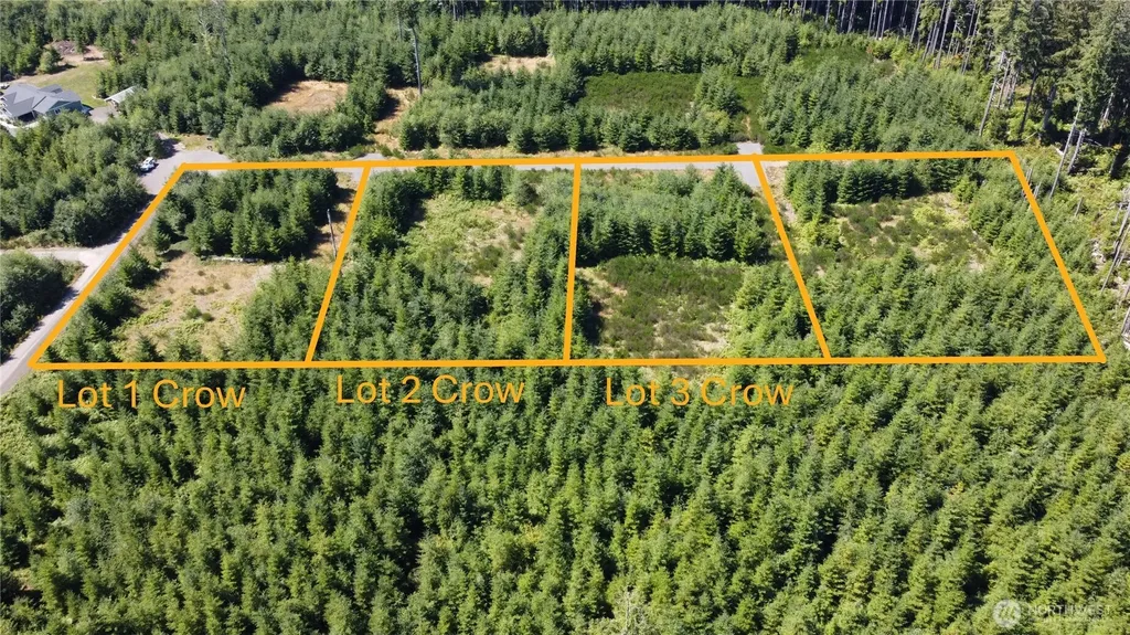 9999 King Johns- Lot 3 Crow Way Forks WA 98331