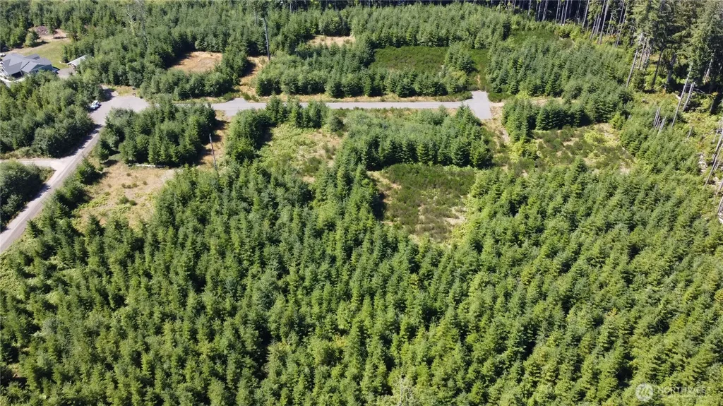 9999 King Johns-lot 2 Crow Sp Way Forks WA 98331