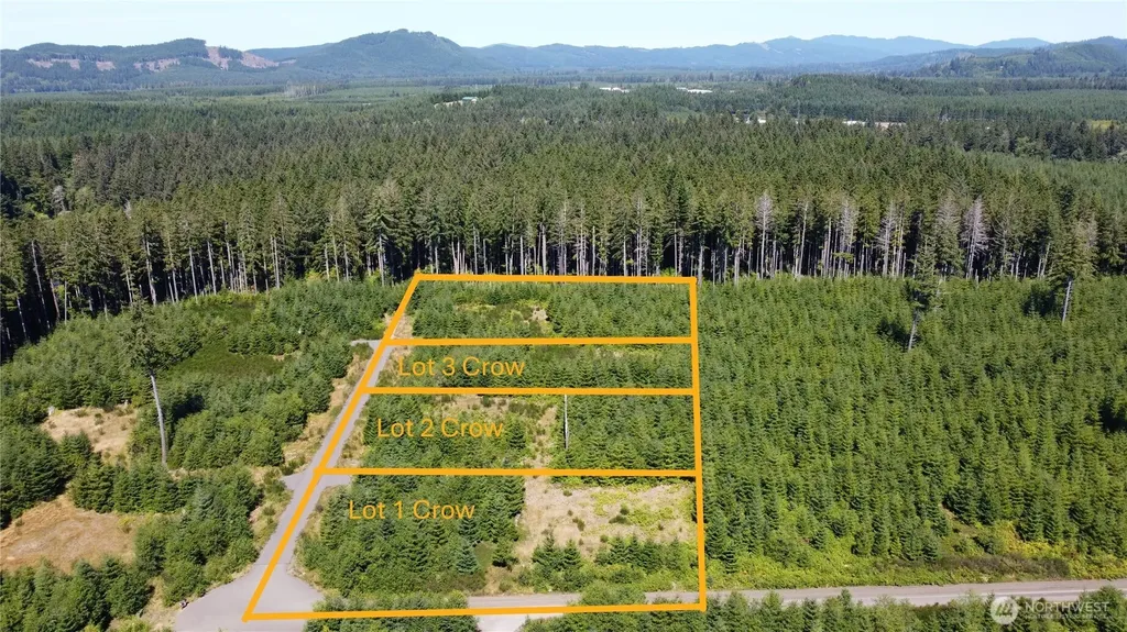 9999 King Johns-lot 2 Crow Sp Way Forks WA 98331