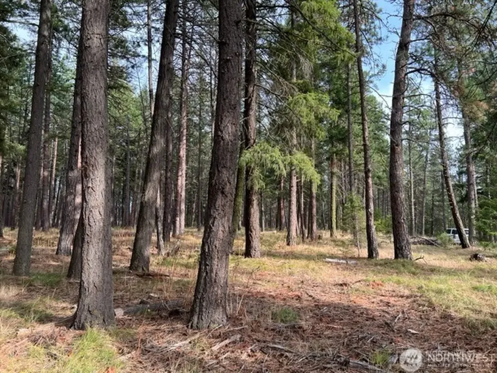 0 Unknown Cle Elum WA 98922